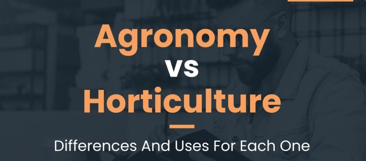 Exploring  Green Science: Agronomy vs. Horticulture In Hindi